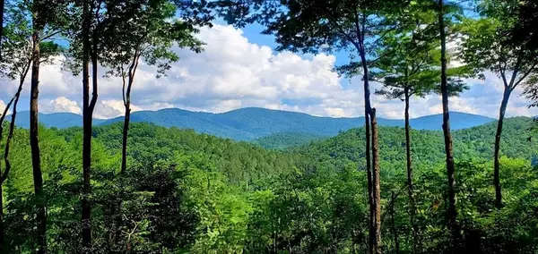 Lot 3 Gold Ridge Trail, Cherry Log, GA 30522