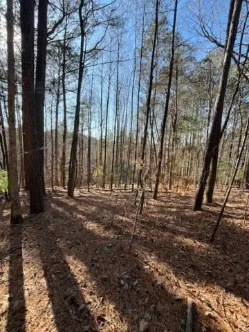 LOT 36R Lakeview Lane, Ellijay, GA 30536