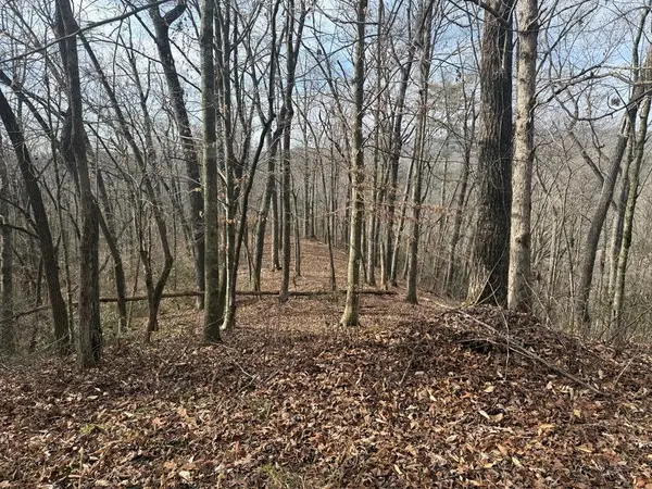 0 Smoky Mountain Ridge, Marble, NC 28906