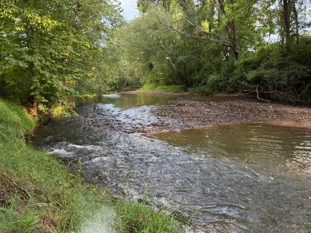 96 West Road, Warne, NC 28909 - #2