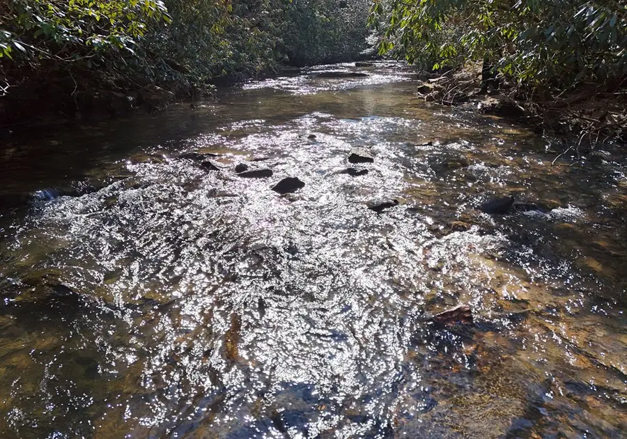 150 Donna Lee Lane, Mineral Bluff, GA 30559 - Image #2