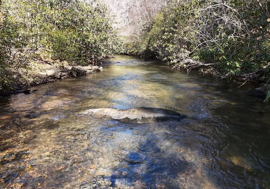 150 Donna Lee Lane, Mineral Bluff, GA 30559 - Image #3