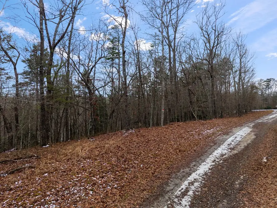 TR4 Curtis Ridge Road, Blue Ridge, GA 30513 - Image #2