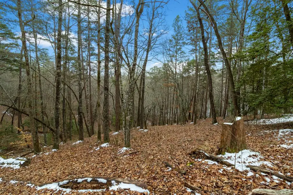 Lot 5 Curtis Ridge Road, Blue Ridge, GA 30513 - Image #1