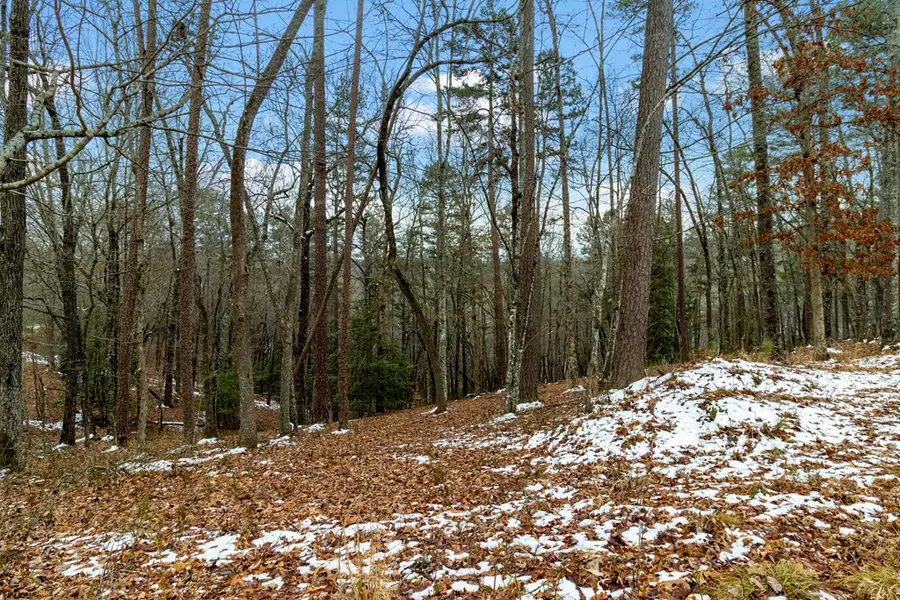 Lot 5 Curtis Ridge Road, Blue Ridge, GA 30513 - Image #2