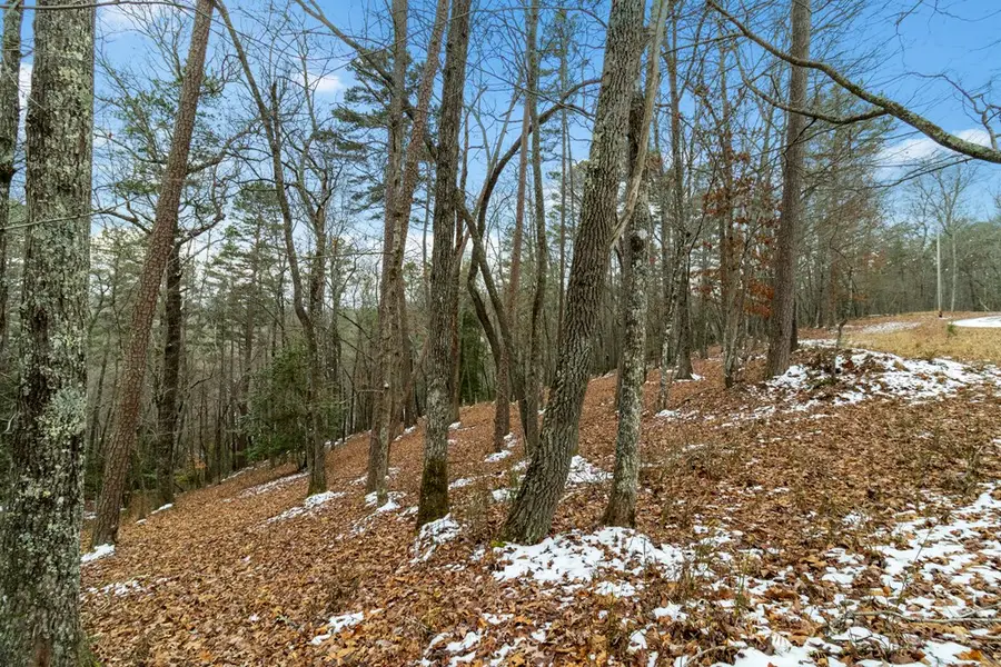 Lot 5 Curtis Ridge Road, Blue Ridge, GA 30513 - Image #3