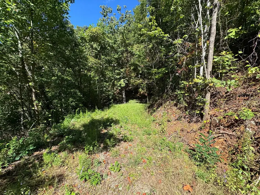 #8-2 Tree Top Drive, Hayesville, NC 28904 - #3