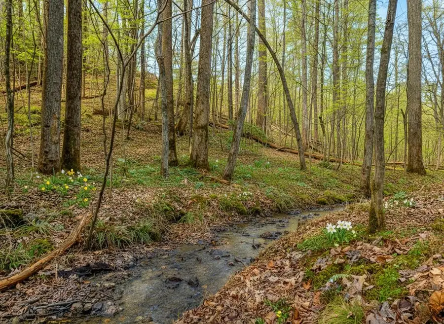 3.12 ACR Eric Lane, Ellijay, GA 30540 - Image #3
