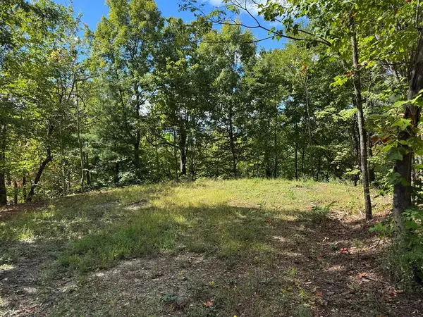 #6-2 Tree Top Drive, Hayesville, NC 28904