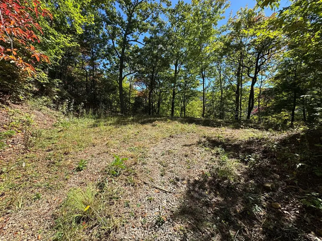 #9-2 Tree Top Drive, Hayesville, NC 28904 - #1