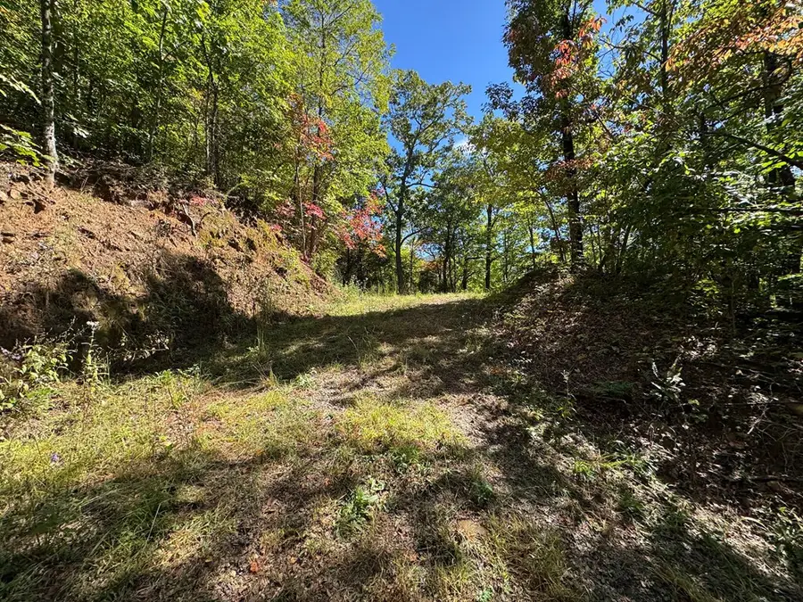 #9-2 Tree Top Drive, Hayesville, NC 28904 - #3