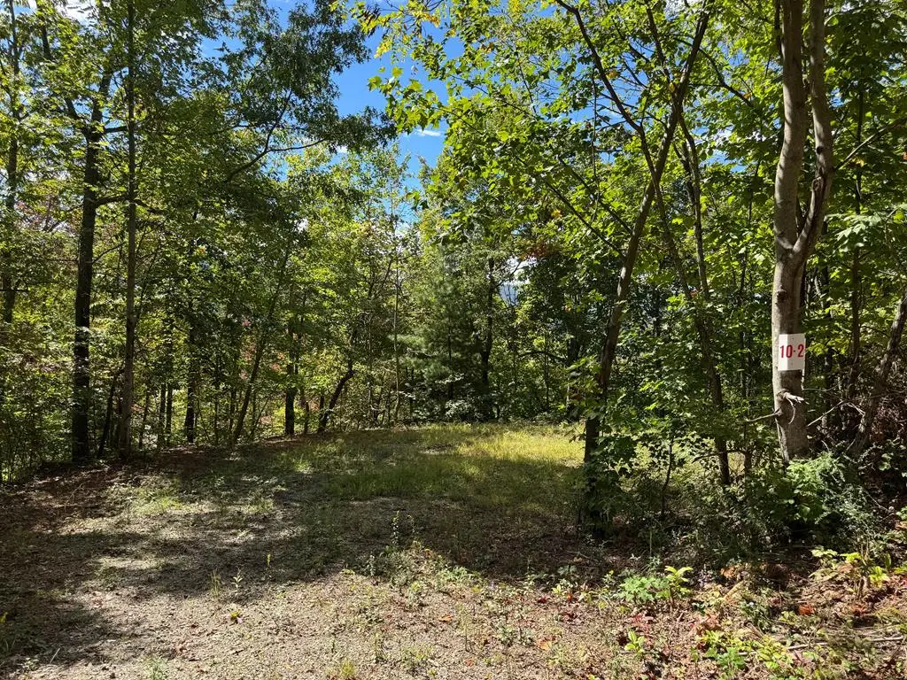 #10-2 Tree Top Drive, Hayesville, NC 28904 - #1