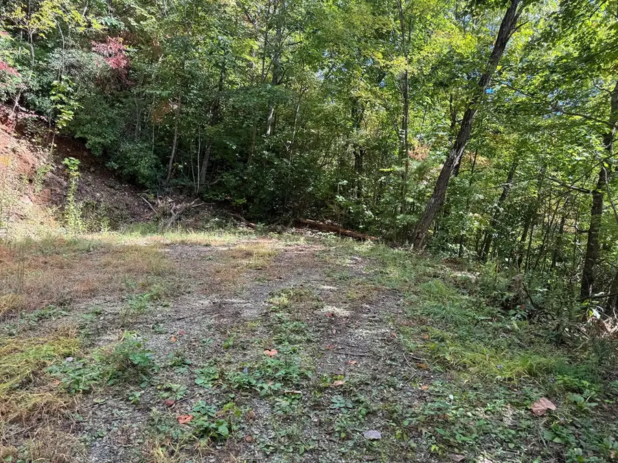 #11-2 Tree Top Drive, Hayesville, NC 28904 - #3