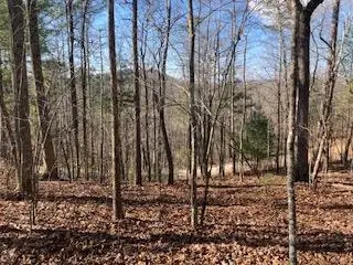 LT 1145 Monet Drive, Ellijay, GA 30540 - Image #2