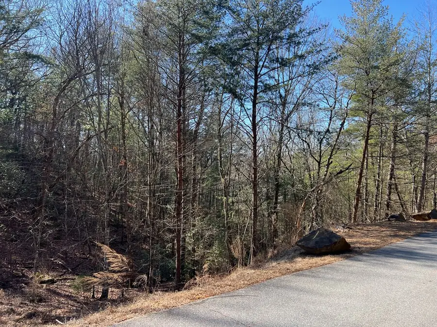 Lot 19 Mission Ridge, Hayesville, NC 28904 - #3