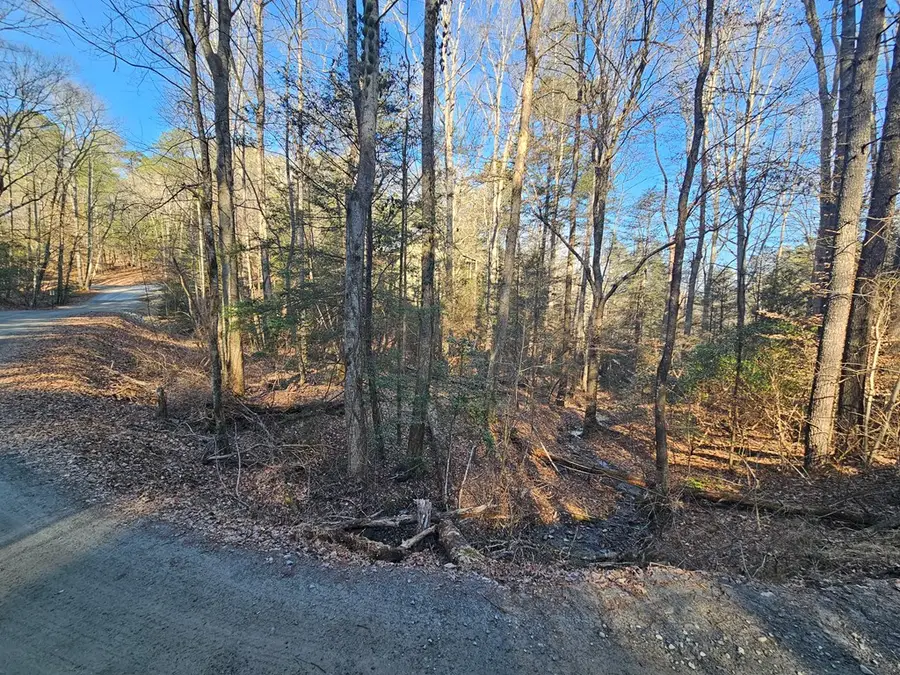 LT 1620 Nexus Drive, Ellijay, GA 30540 - Image #3