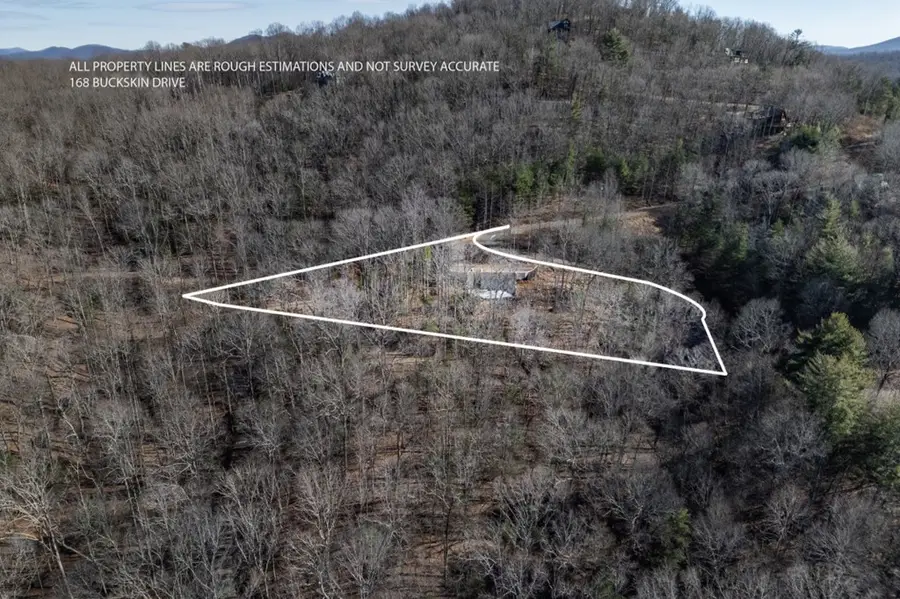 168 Buckskin Drive, Cherry Log, GA 30522 - Image #2