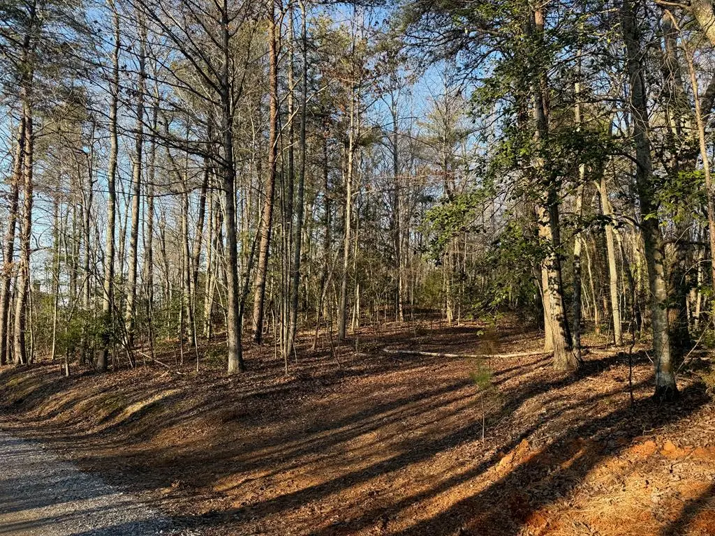 Lot 1 Willow Ridge, Warne, NC 28909 - #1