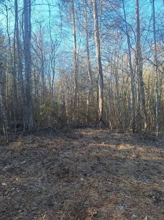 lots Bent Wood Lane, Blue Ridge, GA 30513