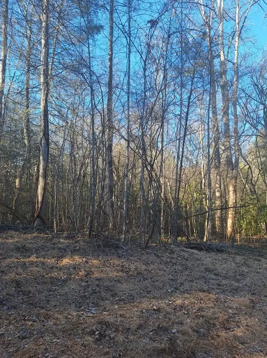 lots Mill Creek Acres, Blue Ridge, GA 30513 - #2