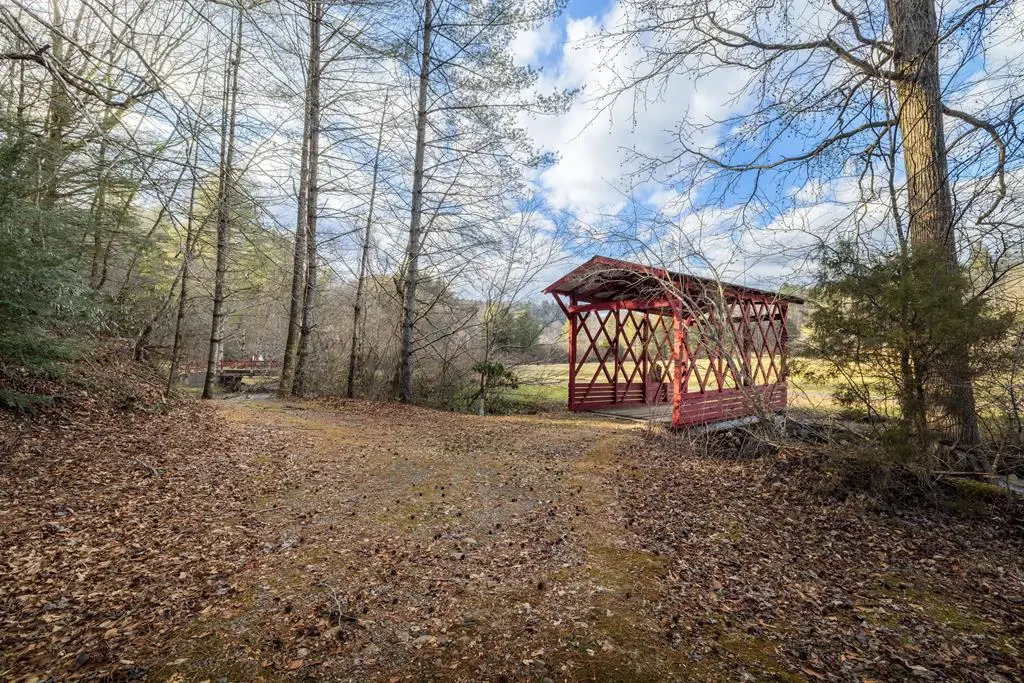 3771 Gates Chapel Road, Ellijay, GA 30540 - #1