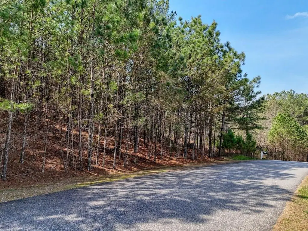 lot 38 Loftis Mountain, Blairsville, GA 30512 - #1