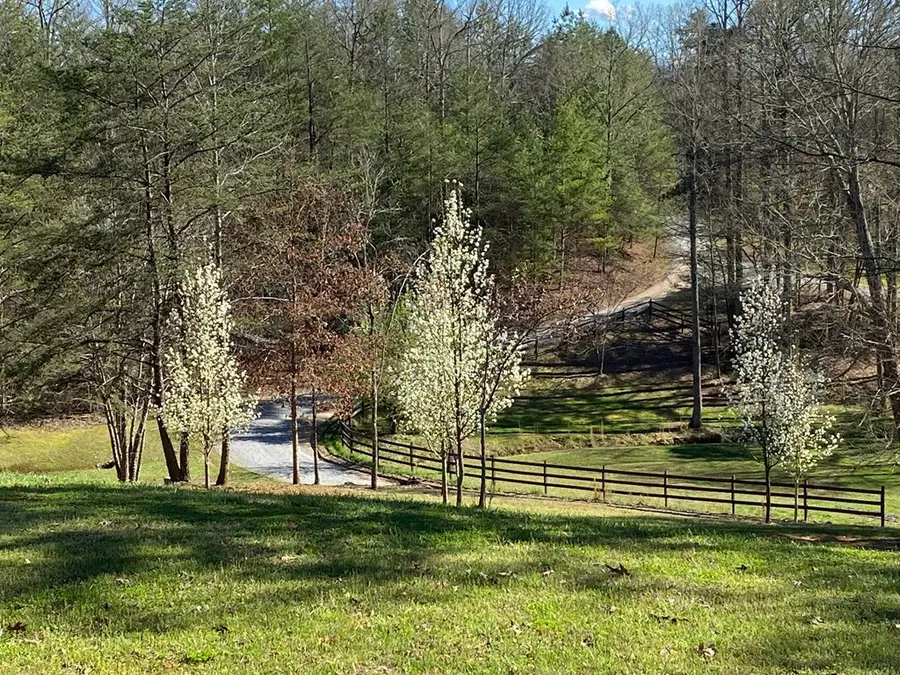 34 Smokey Ridge Lane, Morganton, GA 30560 - #3