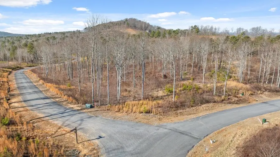 Lot 225 Oak Park Drive, Talking Rock, GA 30175 - #3