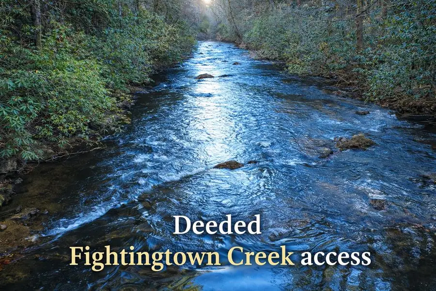 38 Sweetwater Trail, Epworth, GA 30541 - #2