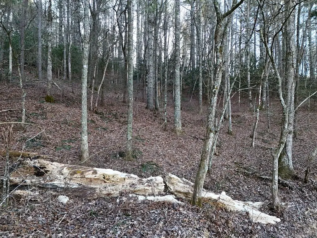 Lot 2 Papas Mountain Road, Blairsville, GA 30512 - #1