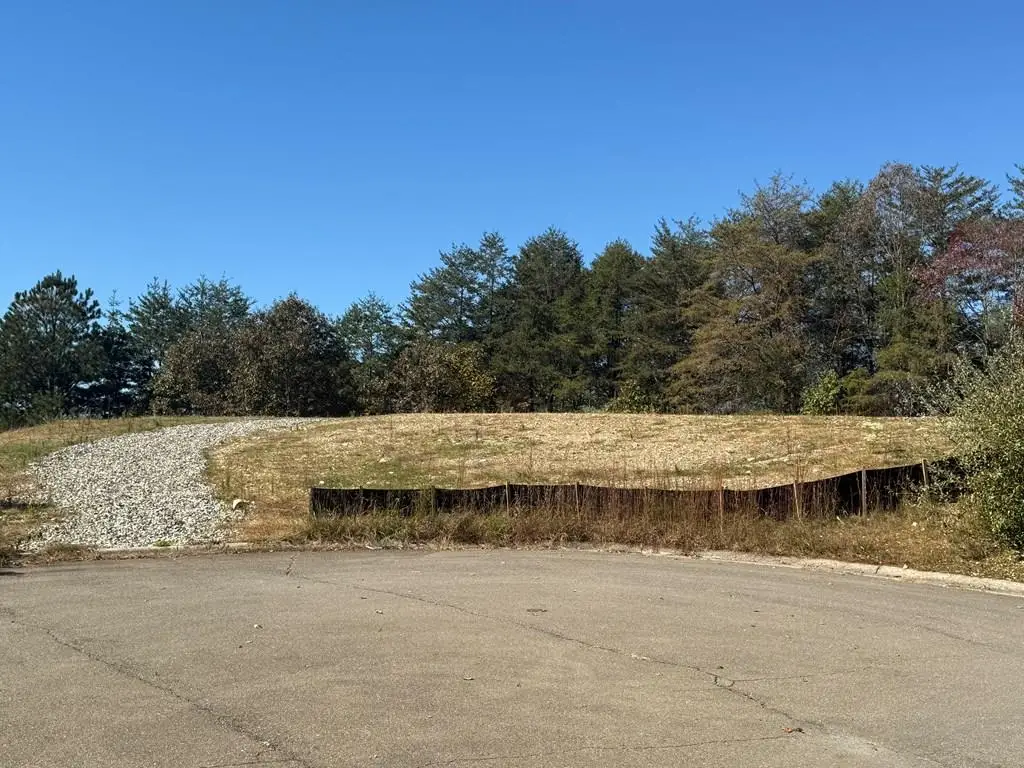 Lot 11 Lindsey Lane, Blue Ridge, GA 30513 - #1