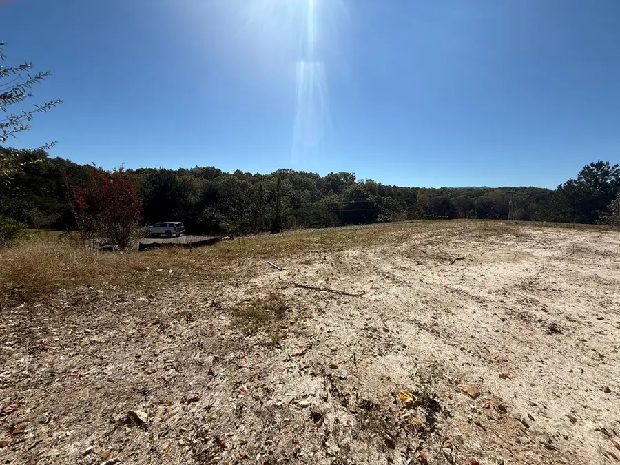 Lot 11 Lindsey Lane, Blue Ridge, GA 30513 - #3