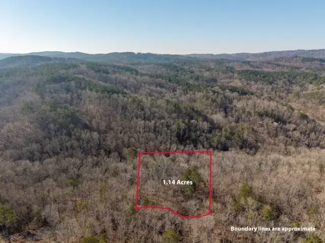 1884 Finale Street, Talking Rock, GA 30175 - #2