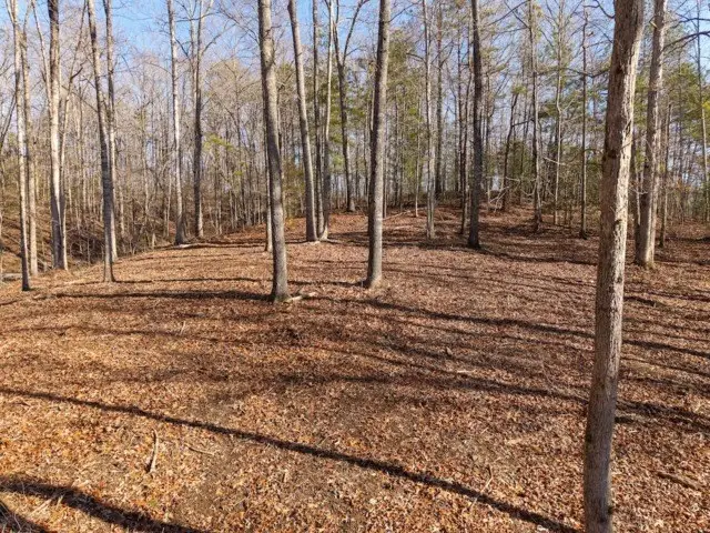 1884 Finale Street, Talking Rock, GA 30175 - #3