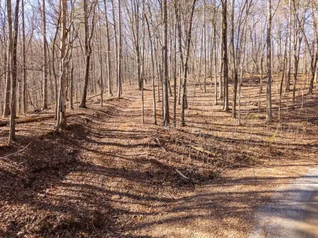 1110 Mayfield Lane, Ranger, GA 30734 - #1