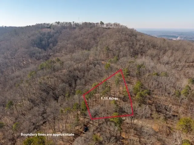 1110 Mayfield Lane, Ranger, GA 30734 - #2