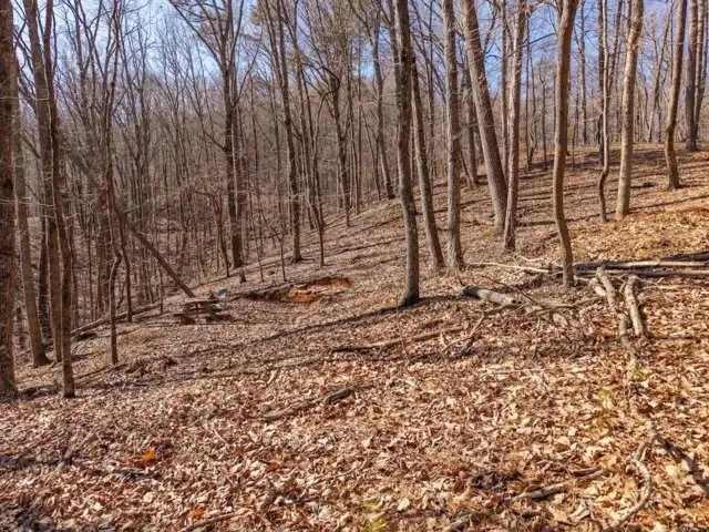 1110 Mayfield Lane, Ranger, GA 30734 - #3