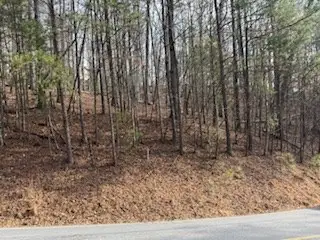 Lot 2119 Newport Drive, Ellijay, GA 30540 - #2