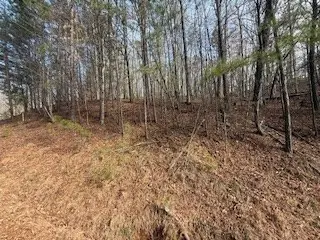 Lot 2119 Newport Drive, Ellijay, GA 30540 - #3