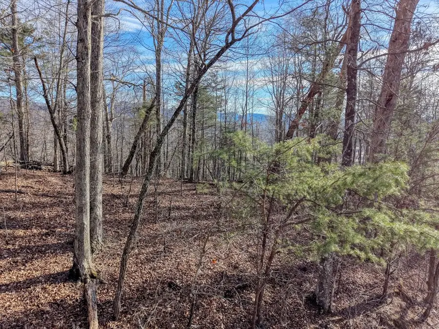 Lot 5 Harris Ridge, Young Harris, GA 30582 - #2