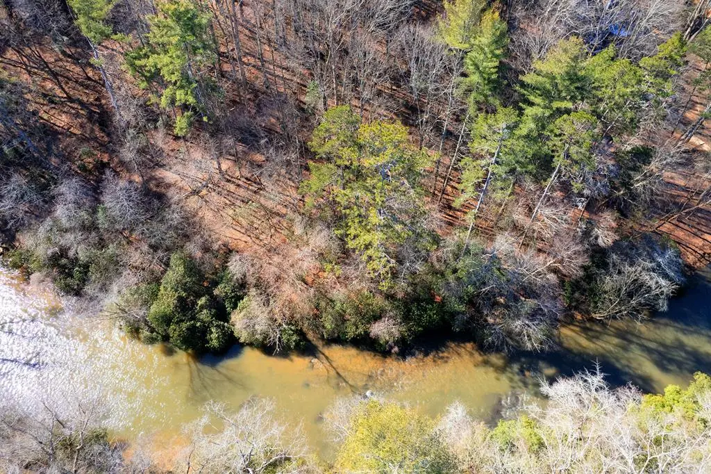 Lot 100 River Oaks Terrace, Ellijay, GA 30536 - #1