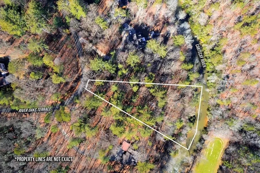 Lot 100 River Oaks Terrace, Ellijay, GA 30536 - #2