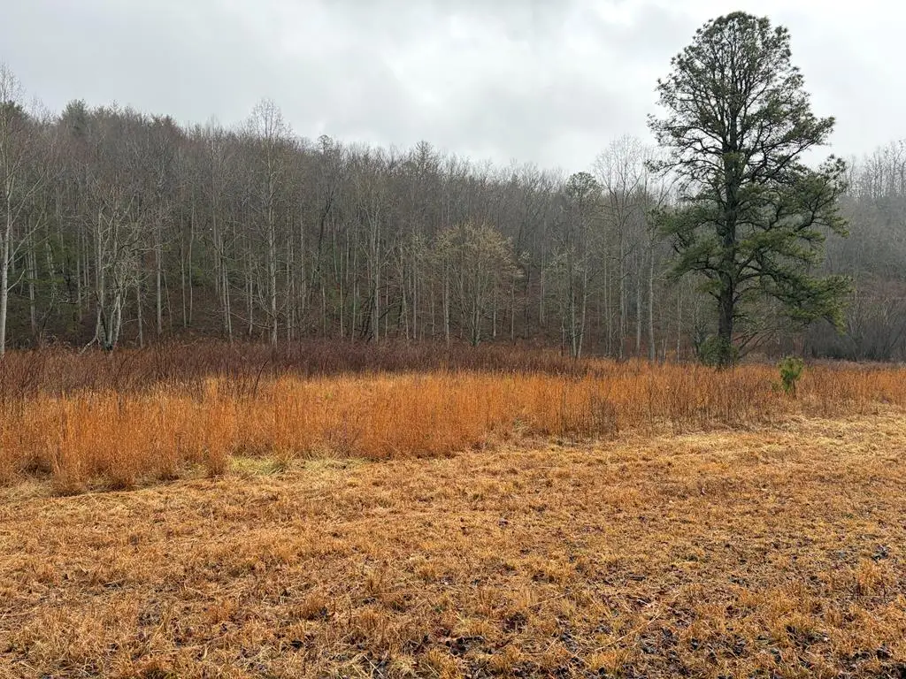 LOT 42 Whisper Woods Road, Hiawassee, GA 30546 - #1