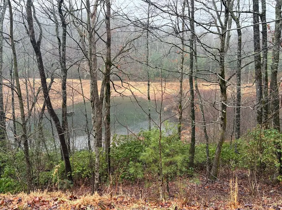 LOT 42 Whisper Woods Road, Hiawassee, GA 30546 - #3