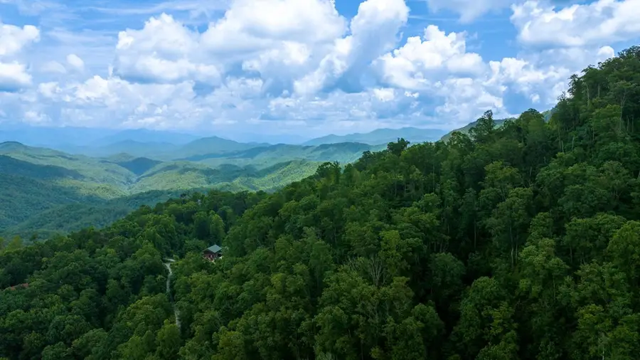 Lot Off Buck Naked, Bryson City, NC 28713 - #2