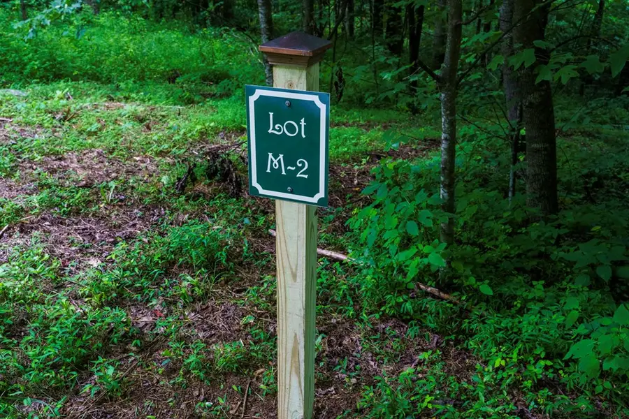 Lot M2 Georgianna Lane, Bryson City, NC 28713 - #2