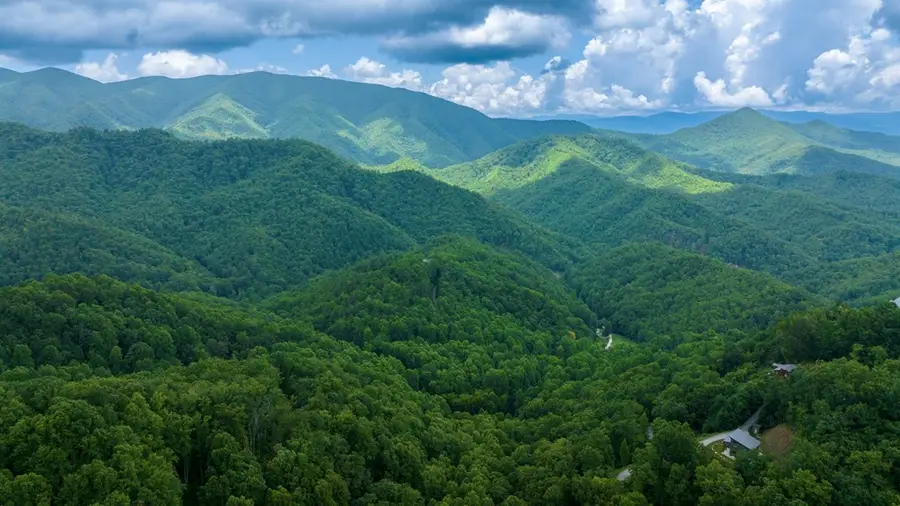 Lot M2 Georgianna Lane, Bryson City, NC 28713 - #3