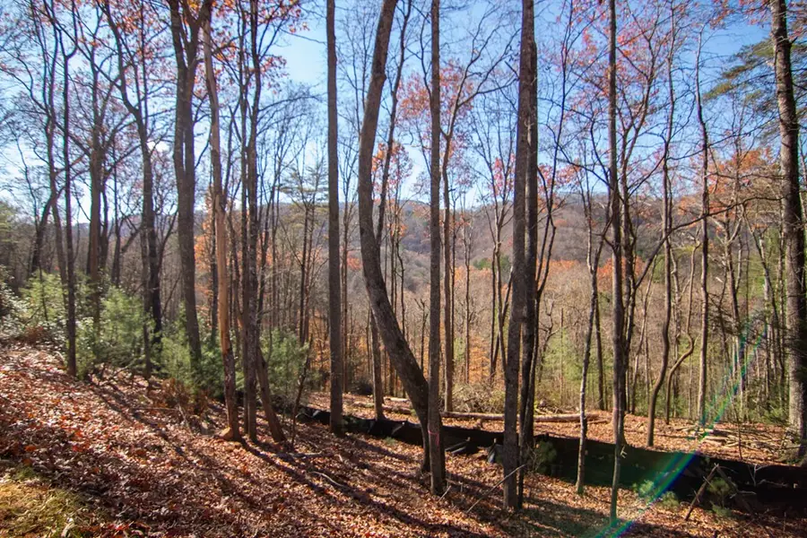 Lot 5 Clay's Way, Blue Ridge, GA 30513 - #3