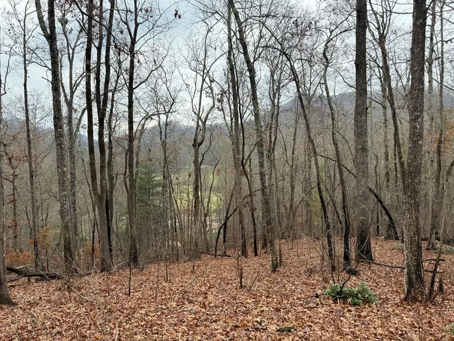 0 Flaming Ridge, Hayesville, NC 28905 - #2