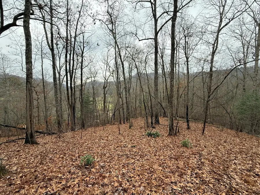 0 Flaming Ridge, Hayesville, NC 28905 - #3